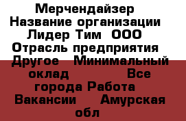 Мерчендайзер › Название организации ­ Лидер Тим, ООО › Отрасль предприятия ­ Другое › Минимальный оклад ­ 27 000 - Все города Работа » Вакансии   . Амурская обл.